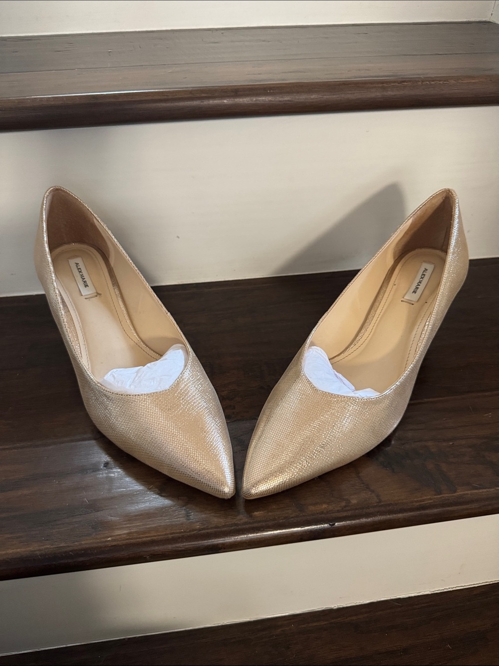 Unknown Brand Women's Pointed Toe Pumps in Metallic Gold
